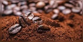 Naturkaffee für Pilzebehandlung